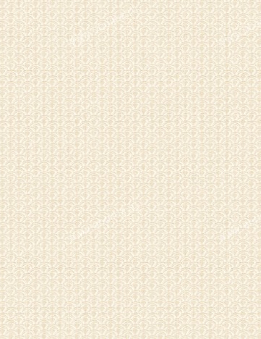 Обои Seabrook Willow Creek WC51807