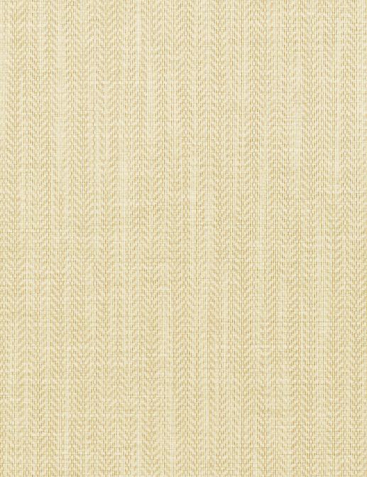 Обои Thibaut Surface Resource T4060