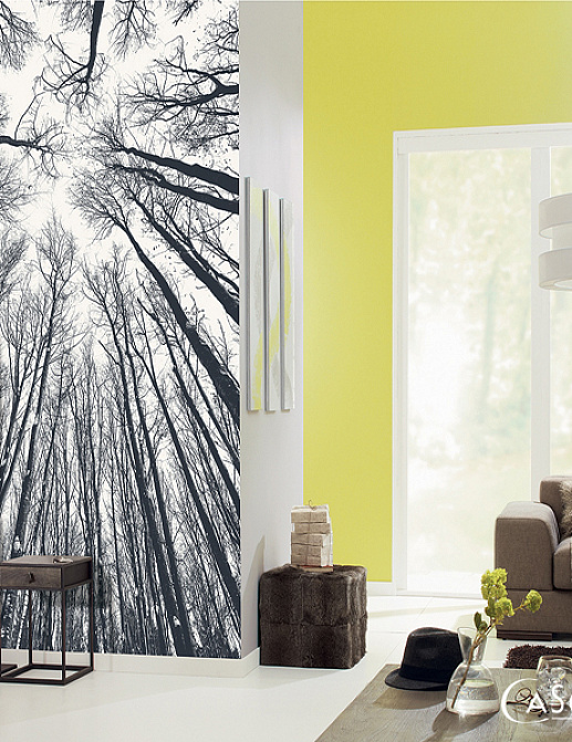 Панно и фотообои Caselio Trendy Panels TDP61398043
