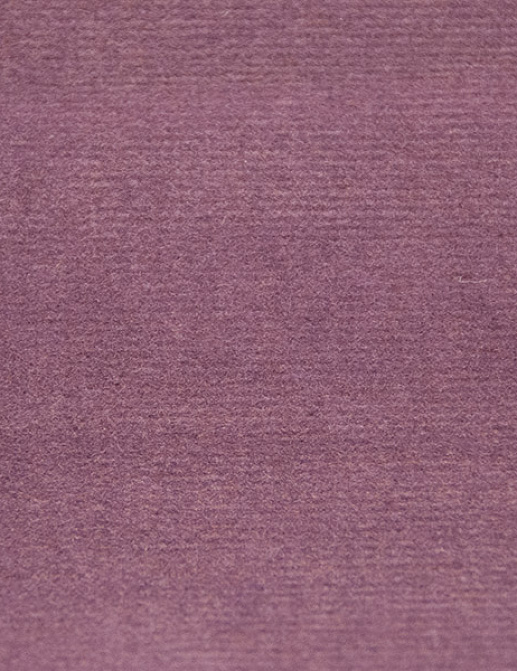 Ткань Alessandro Bini Velluto di Cotone G075/471