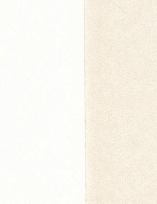 Обои Eijffinger Stripes Only 372037