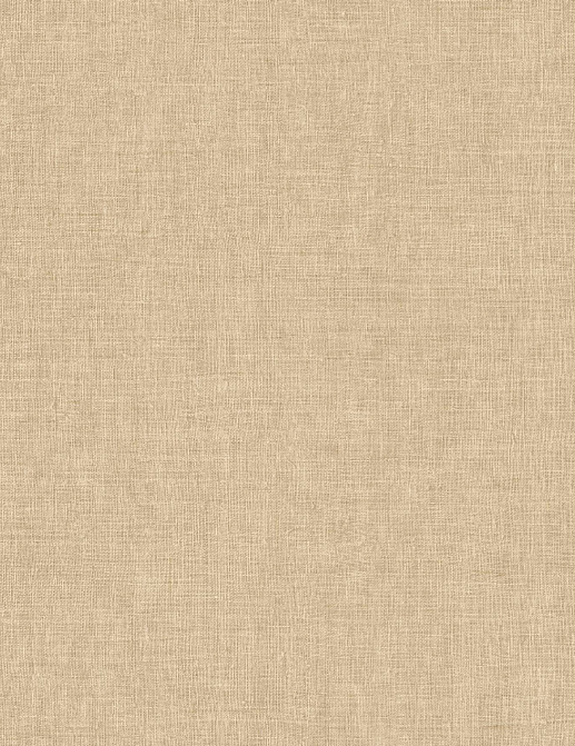Обои Arte Indienne 18351