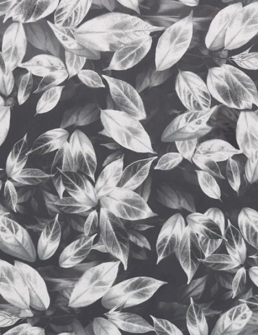 Ткань Ashley Wilde Velluto Giardino/Slate