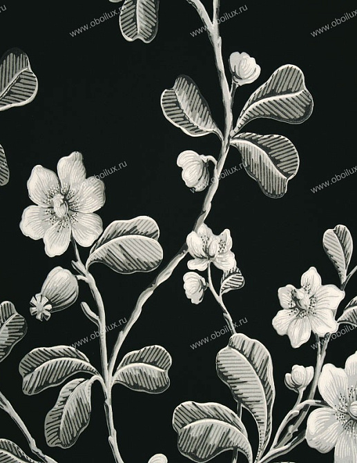 Обои Little Greene London Wallpapers 0277BRMIDNI