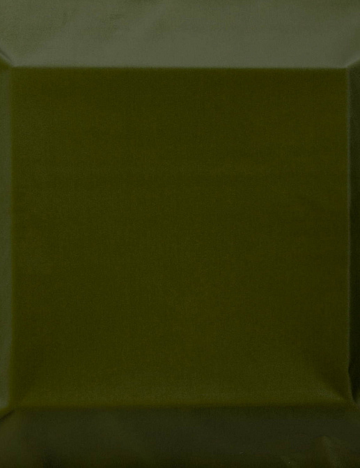 Ткань Equipo DRT Perseo Perseo/445/Verde