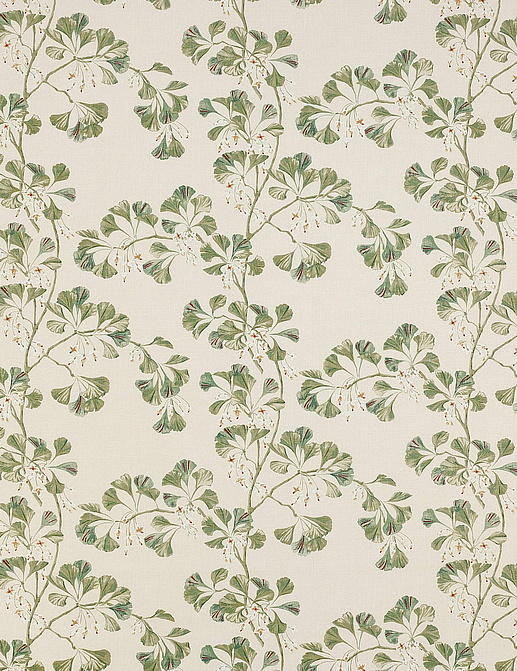 Ткань Colefax and Fowler Jardine F4705/01