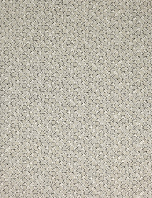 Ткань Colefax and Fowler Oaken F4352/05