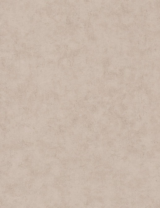 Обои Caselio Beton 101481342