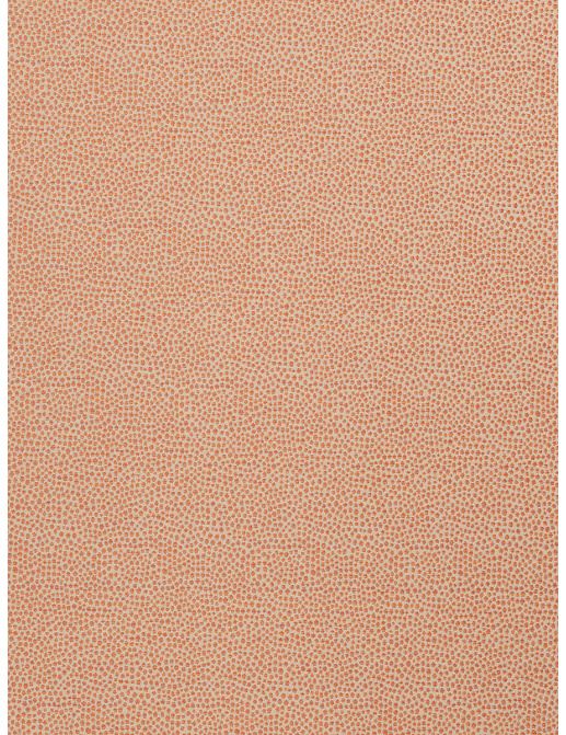 Ткань Fabricut Chromatics Vol.XXIV Guava Sandbag/Coral