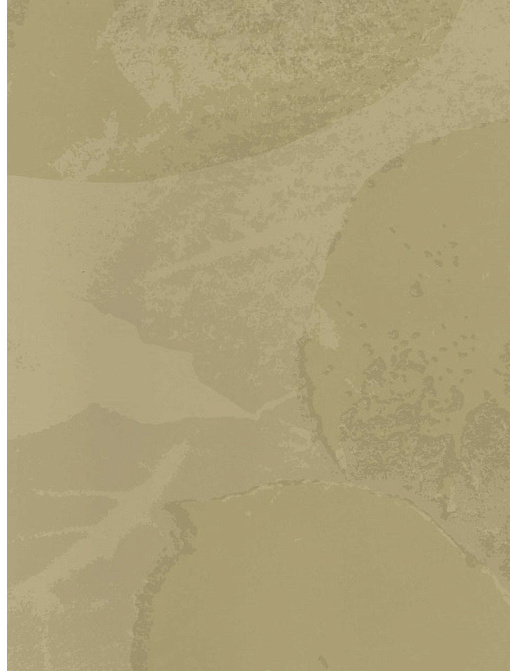 Обои York Stacy Garcia - Luxury Wallpaper II GS4771