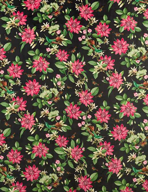 Ткань Clarke & Clarke Botanical Wonders F1588/02