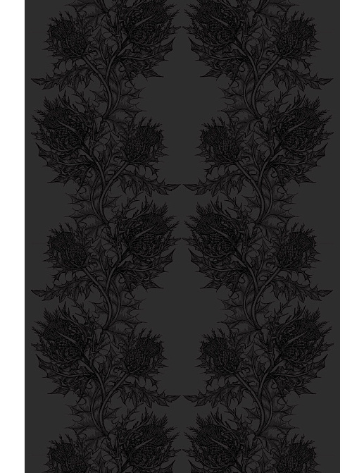 Обои Timorous Beasties Stock SWP/THL/BLK/05