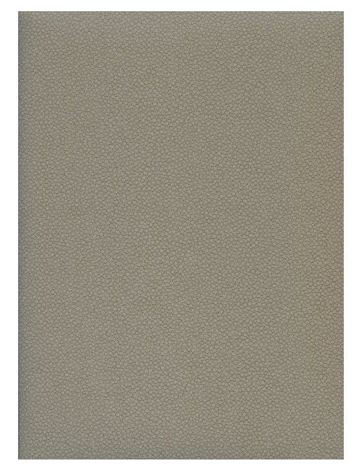 Обои Caselio Seduction SDN 5750-92-55