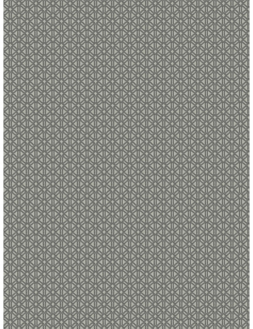 Ткань Fabricut Luxe Nuances Cumulus Breeze Trousdale/Silver