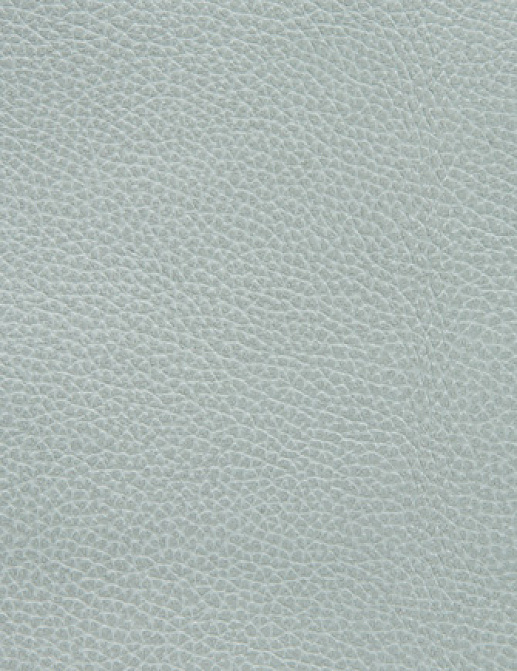 Ткань Holly Hunt Holly Hunt Leather 6013/09