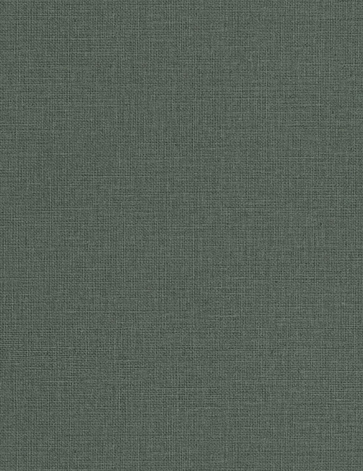Обои Caselio Jute Essentiel JUT104017850