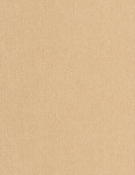 Обои Caselio Damier DAI104992020
