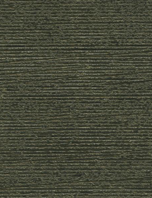 Обои Holland & Sherry Docere WP2534/Nighrscape Draco