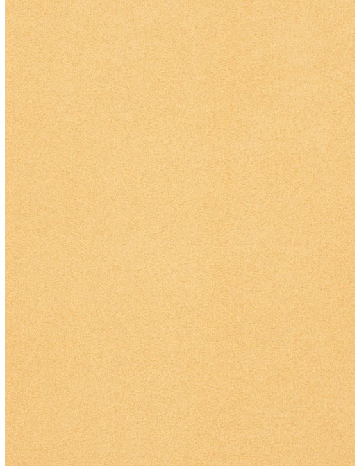 Ткань Trend Suede Spectrum Multipurpose 03270/Maize