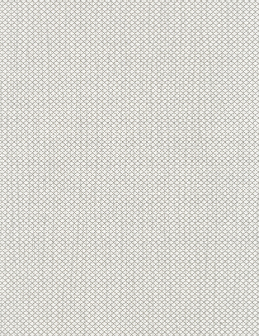 Обои Hookedonwalls Delicate Chic 73204
