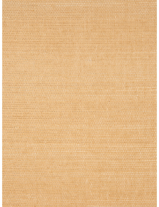 Обои Holland & Sherry Textured Collection DEWP7007/Buff