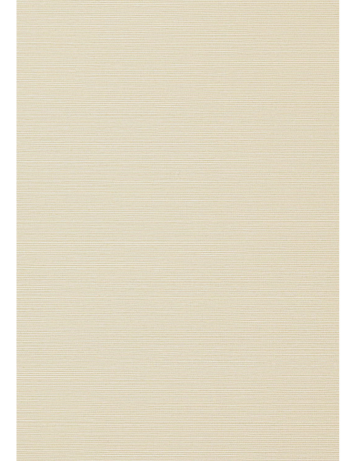 Обои Thibaut Texture Resource 6 TWW75145