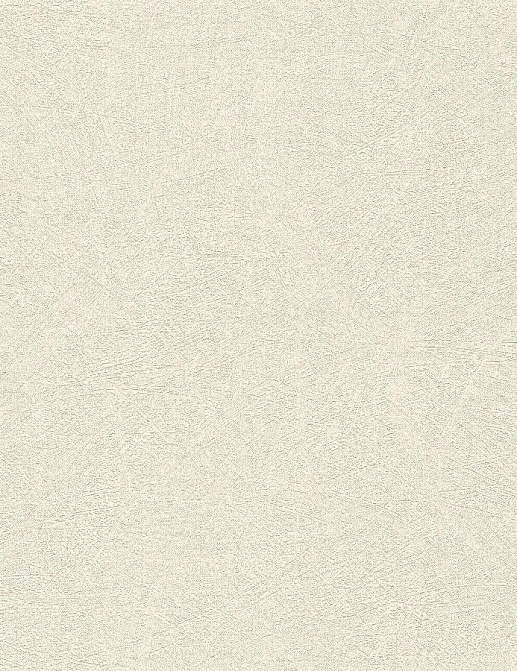 Обои Rasch Concrete 520231