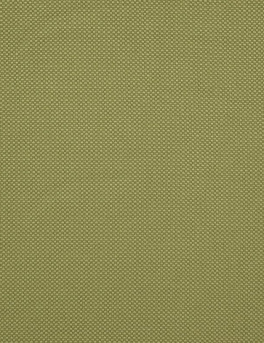 Ткань Daylight Falcon Falcon/Moss