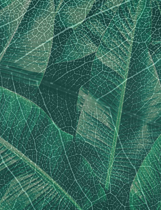 Панно и фотообои Gemini Designer murals collection KT349M-B