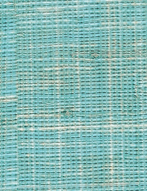 Обои Elitis Raffia & Madagascar VP60140