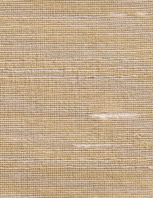 Обои Yana Svetlova Wallcoverings Indian Silk T-NatS-01