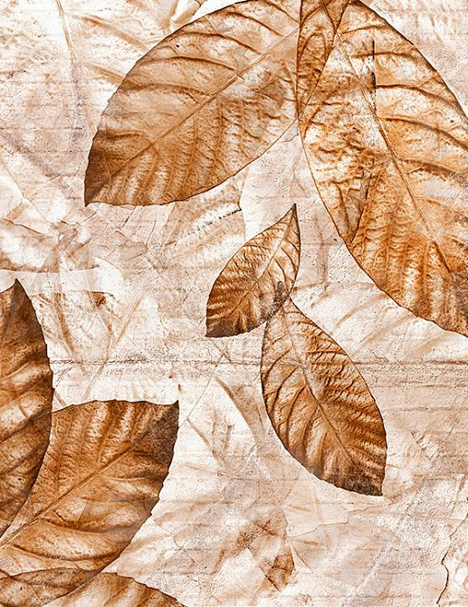 Панно и фотообои Skinwall Contemporary Collection 05C