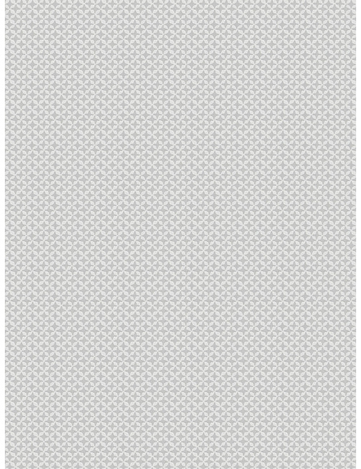 Ткань Fabricut Chromatics Vol.XXIII Zinc Arroz/Silver