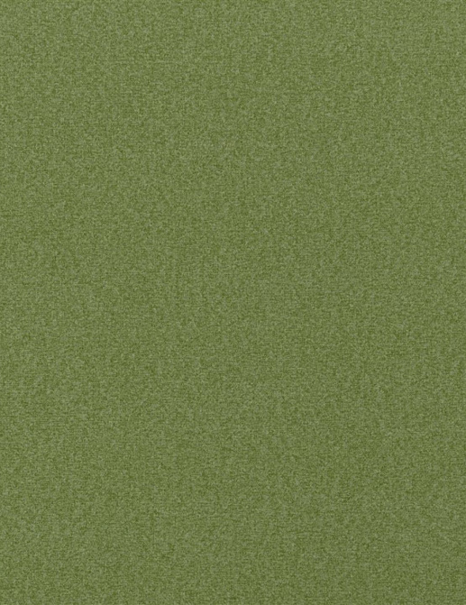 Ткань Designers Guild Loden FDG3009/13