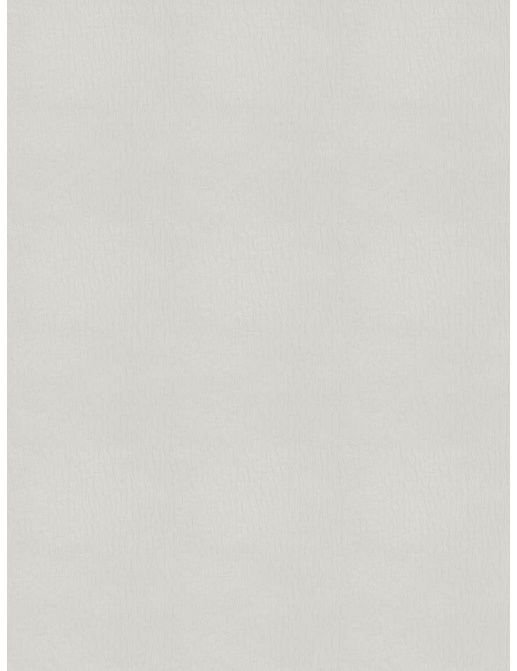 Ткань Fabricut Chromatics Vol.XXV Oyster Sea ripple/White