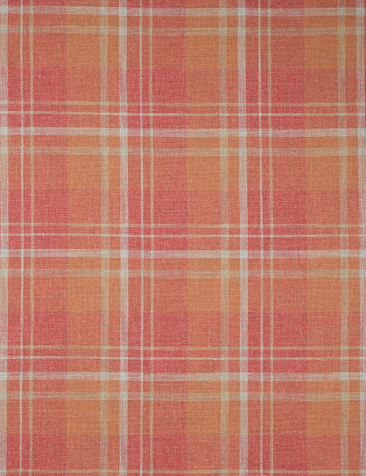Ткань Colefax and Fowler Magnus Checks F4722/02