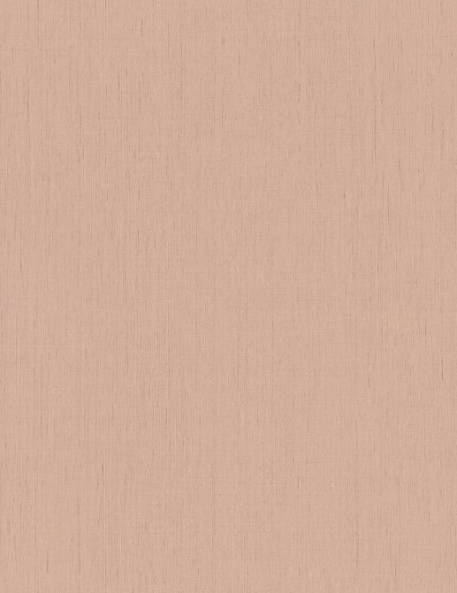 Обои Rasch Indian Style 746075