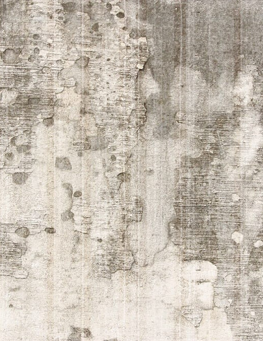 Панно и фотообои Gemini Designer murals collection KT226M-E