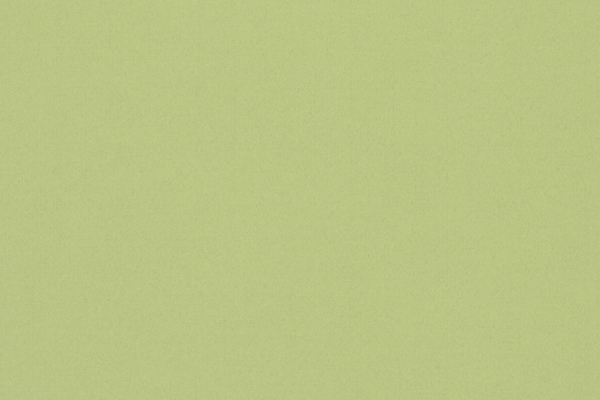 Ткань Designers Guild Aviano F1911/23
