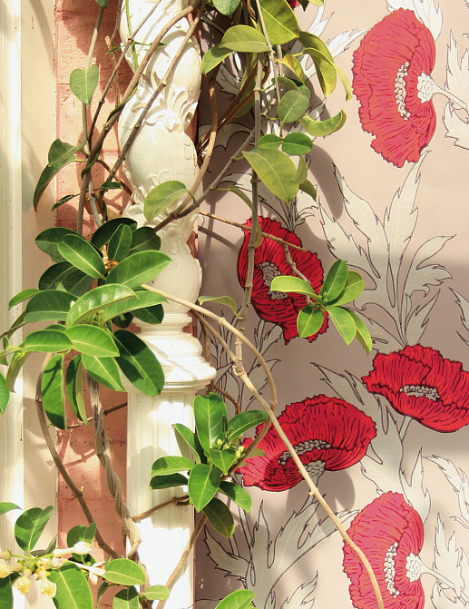 Обои Cole & Son Collection of Flowers 81/1001