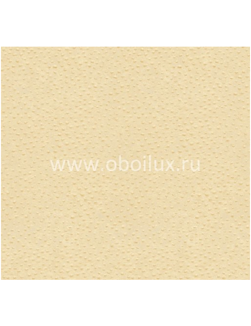 Обои York Ronald Redding - Designer Backgrounds II RB8956