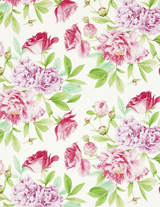 Обои Zoffany Woodville 311359