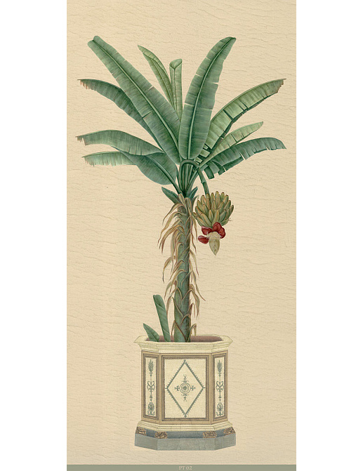 Панно и фотообои Iksel Scenic & Architectural Wallpapers Potted Palms PT02