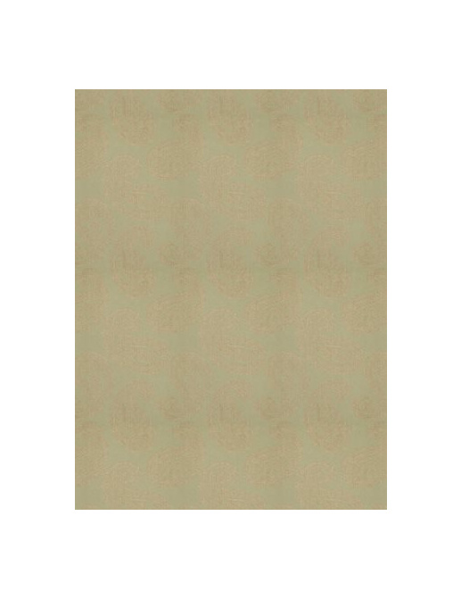 Ткань Stroheim Color Gallery Spearmint Tovey paisley/Spearmint