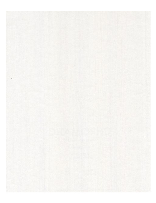 Обои Casamance Chromatic C870010