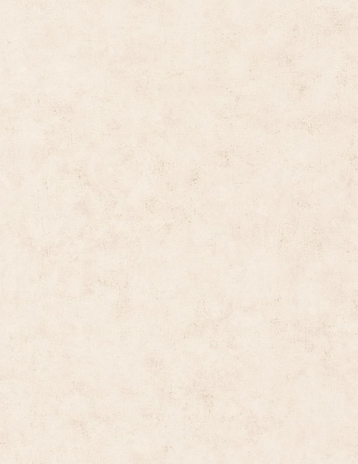 Обои Caselio Beton 101481002