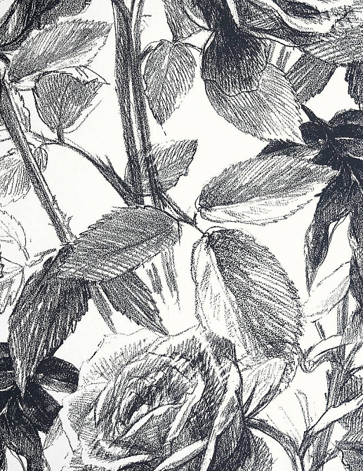 Обои Clarke & Clarke Floribunda W0037-07