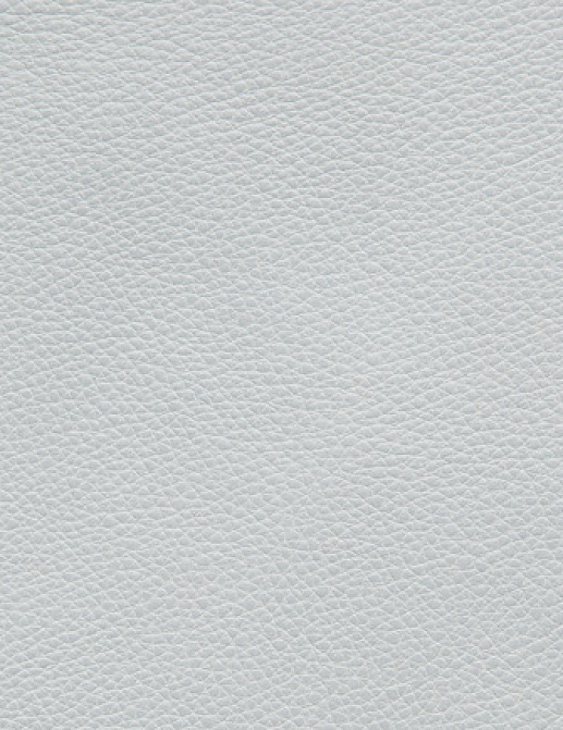 Ткань Holly Hunt Holly Hunt Leather 6005/40