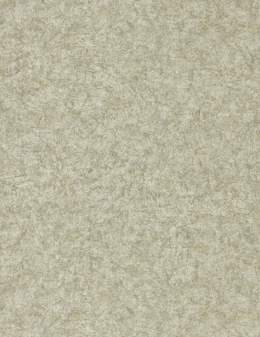 Обои Zoffany Folio ZFOW312959