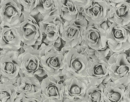 Обои Giardini Phlora & Phauna PH0112